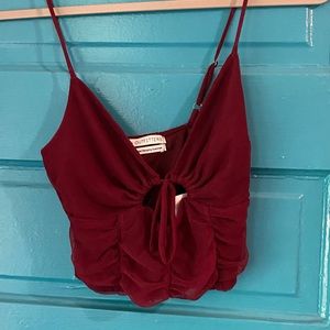 Garnet Urban Outfitters Crop Top